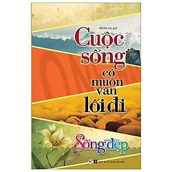 Sống Đẹp – Cuộc Sống Có Muôn Vàn Lối Đi (Tái Bản 2019)