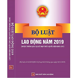 Bộ Luật Lao Động (sửa đổi) Năm 2019