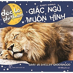 Độc Lạ Phi Thường – Giấc Ngủ Muôn Hình