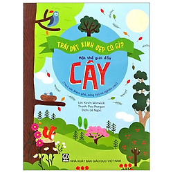 Trái Đất Xinh Đẹp Có Gì – Một Thế Giới Đầy Cây