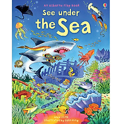 Usborne See under the sea