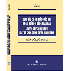 Luật Bầu Cử Đại Biểu Quốc Hội Và Đại Biểu Hội Đồng Nhân Dân – Luật Tổ Chức Chính Phủ, Luậ