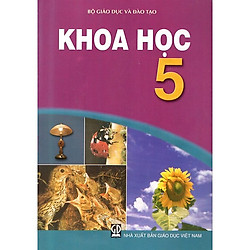 Khoa Học Lớp 5