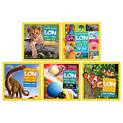 Combo Cuốn Sách Lớn Đầu Tiên Của Tớ (Tái Bản 2019) (Bộ 5 Cuốn)