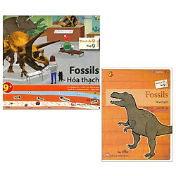 Combo All Story – Fossils – Hóa Thạch (Trình Độ 2 – Tập 9) (Bộ 2 Cuốn)