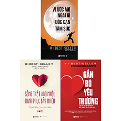 combo 3 cuốn sách chinh phục mục tiêu , tình yêu và gia đình ( gắn bó yêu thương + vì ước