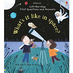 Usborne lift-the-flap very first questions and answers: What’s it like in space?