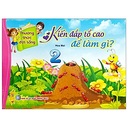 Thường Thức Đời Sống – Kiến Đắp Tổ Cao Để Làm Gì