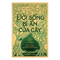 Đời Sống Bí Ẩn Của Cây