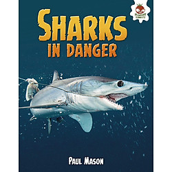 Sharks in Danger