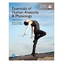 Essentials Of Human Anatomy And Physiology