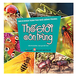 Bách Khoa Toàn Thư Nhỏ (Bằng Tranh) – Thế Giới Côn Trùng