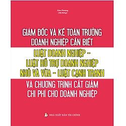 Giám đốc và kế toán trưởng cần biết – luật doanh nghiệp – luật hỗ trợ doanh nghiệp nhỏ và