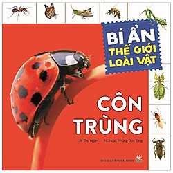 Bí Ẩn Thế Giới Loài Vật: Côn Trùng (Tái Bản 2019)
