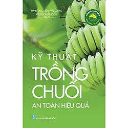 Nông Nghiệp Xanh, Sạch – Kỹ Thuật Trồng Chuối An Toàn Hiệu Quả