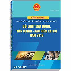 Cẩm Nang Tra Cứu Tổng Hợp Các Nghiệp Vụ Về Chính Sách Của Bộ Luật Lao Động, Tiền Lương, Bảo Hiểm Xã Hội Năm 2019