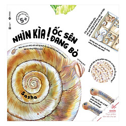 Ehon Nhìn Kìa! Ốc Sên Đang Bò