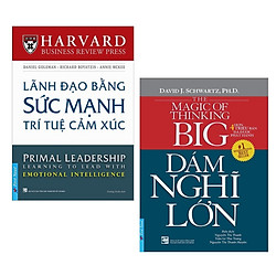 Combo 2 Cuốn Sách Kỹ Năng Làm Việc: Lãnh Đạo Bằng Sức Mạnh Trí Tuệ Cảm Xúc + Dám Nghĩ Lớn