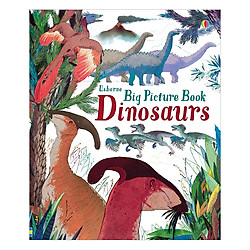 Usborne Big Picture Book Dinosaurs