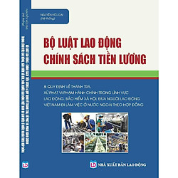 Bộ Luật Lao Động Chính Sách Tiền Lương Và Quy Định Về Xử Phạt Vi Phạm Hành Chính Trong Lĩ