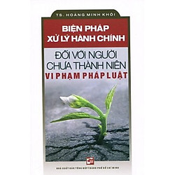 Biện Pháp Xử Lý Hành Chính Đối Với Người Chưa Thành Niên Vi Phạm Pháp Luật