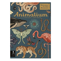 Animalium