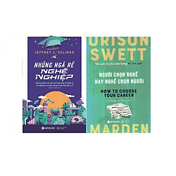Combo Cẩm Nang Định Hướng Nghề Nghiệp (Những Ngã Rẽ Nghề Nghiệp + Người Chọn Nghề Hay Ngh
