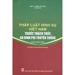 Pháp Luật Hình Sự Việt Nam Trước Thách Thức An Ninh Phi Truyền Thống (Tái bản)