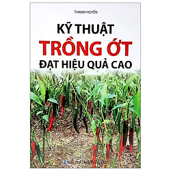 Kỹ Thuật Trồng Ớt Đạt Hiệu Quả