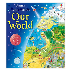 Usborne Look Inside Our World