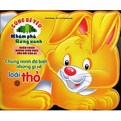 Cùng Bé Yêu Khám Phá Rừng Xanh – Chúng Mình Đã Biết Gì Về Loài Thỏ