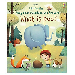 Usborne lift-the-flap very first questions and answers: What is poo?