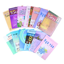 Bộ Sách Bài Tập Lớp 8