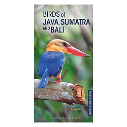 Birds Of Java, Sumatra And Bali
