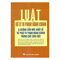Luật Xử Lý Vi Phạm Hành Chính Và Hướng Dẫn Mới Nhất Về Xử Phạt Vi Phạm Hành Chính Trong Các Lĩnh Vực