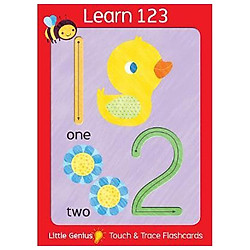 Little Genius Giant Flash