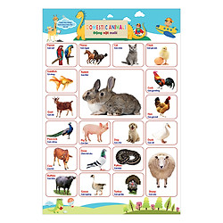 Tranh Treo Tường Bách Khoa Toàn Thư Cho Bé – Tớ Là Hươu Cao Cổ Thông Thái