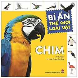 Bí Ẩn Thế Giới Loài Vật: Chim (Tái Bản 2019)