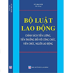 Sách Bộ Luật Lao Động Chính Sách Tiền Lương Tiền Thưởng Đối Với Công Chức Viên Chức và Người Lao Động