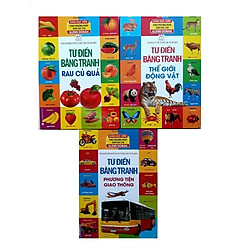 Bộ sách Từ điển bằng tranh: Phương tiện giao thông + Rau củ quả + Thế giới động vật (Tặng