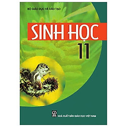 Sinh Học 11 (T9)