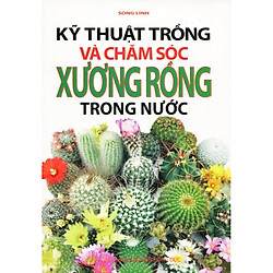 Kỹ Thuật Trồng và Chăm Sóc Xương Rồng Trong Nước