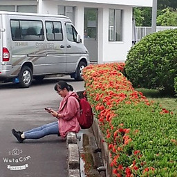 Hà Thị Thùy Dung