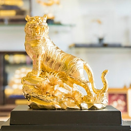 Nguyễn Văn Hoàng