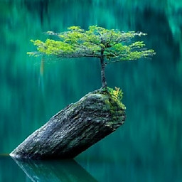 Vương Đức Nhân