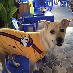 Nguyễn Ngọc Ánh