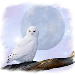 Nguyễn Tấn Phát