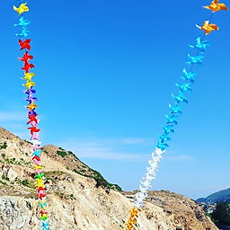 Nguyễn Đức Thuận