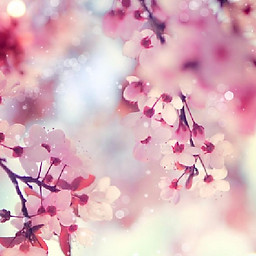 Nguyễn Lê Mỹ Tiên