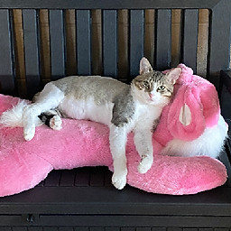 Duong thi thanh thúy